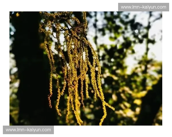 江苏vs广西：一场跨越山海的鲜活对话，谁是你的心头好？